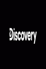 Discovery Channel – Ao Vivo